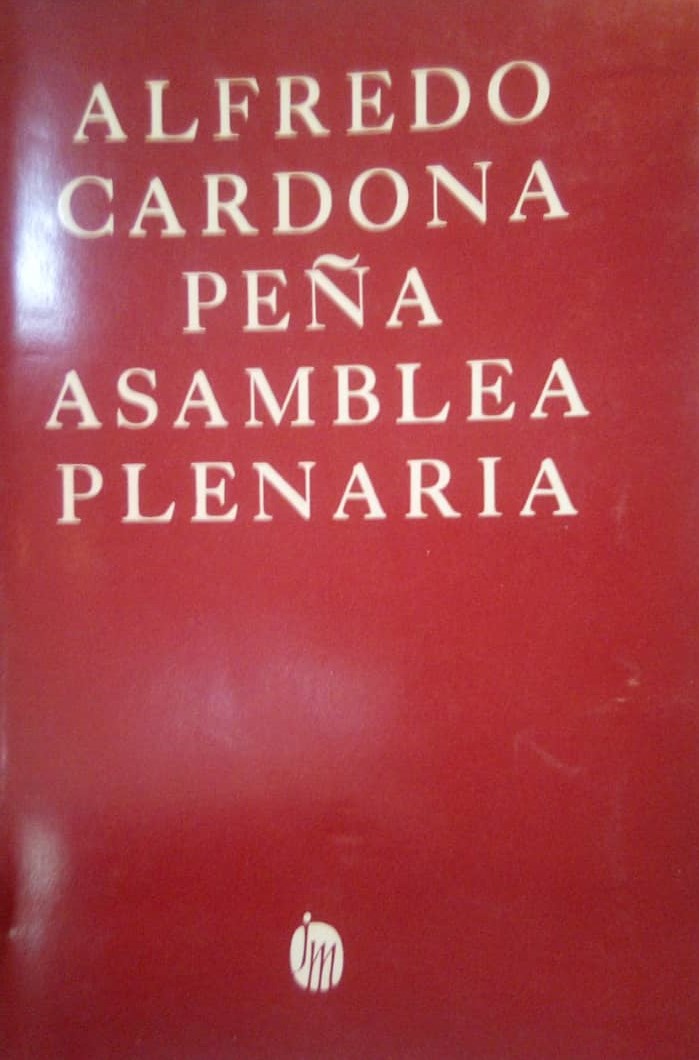 Asamblea plenaria